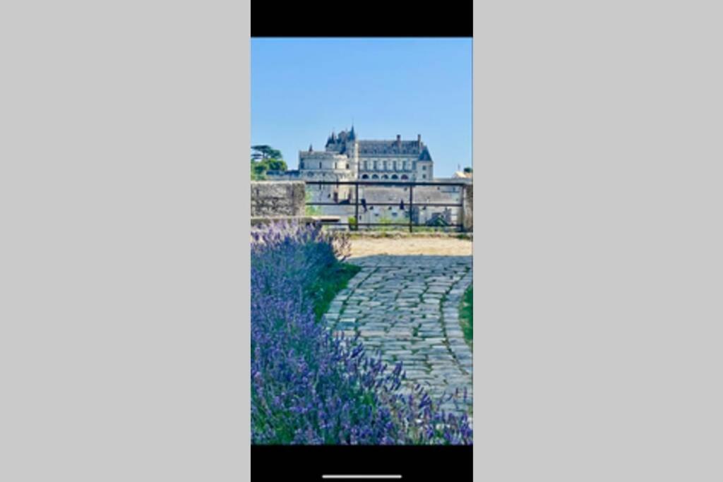 Le 17 Entre Gare et Château Amboise Extérieur photo